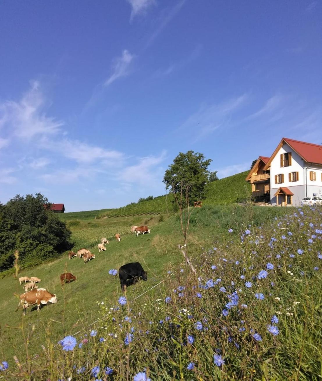 Bauernhof Gschmeidler Sankt Johann im Saggautal Luaran gambar